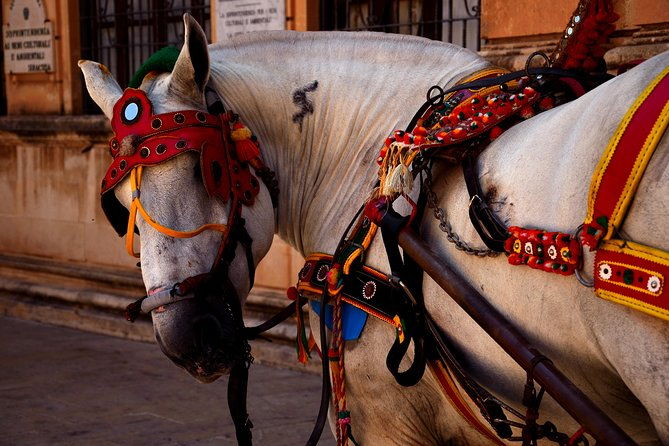 catania-transfer-to-or-from-taormina-giardini-naxos-or-syracuse