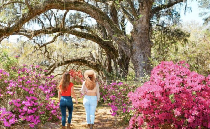 charleston-historic-city-tour-magnolia-plantation-combo
