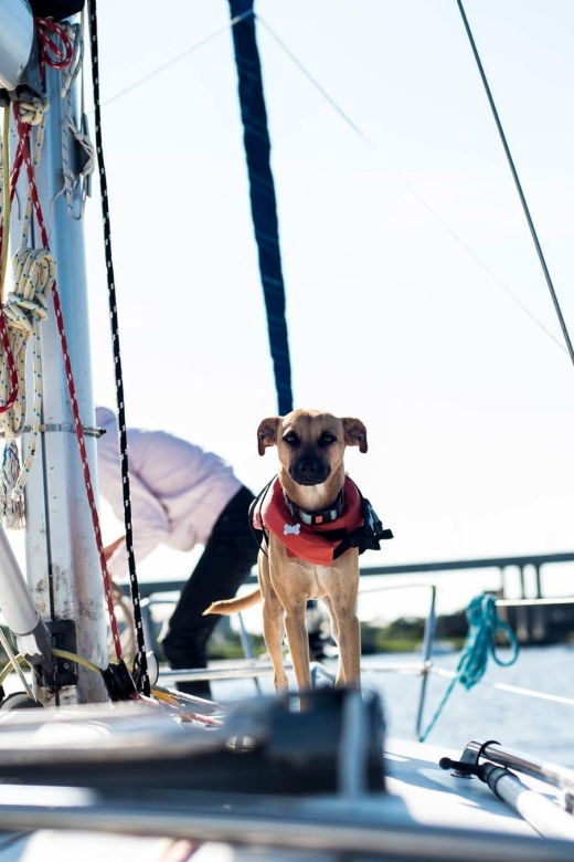 charleston-private-byob-luxury-sailing-cruise