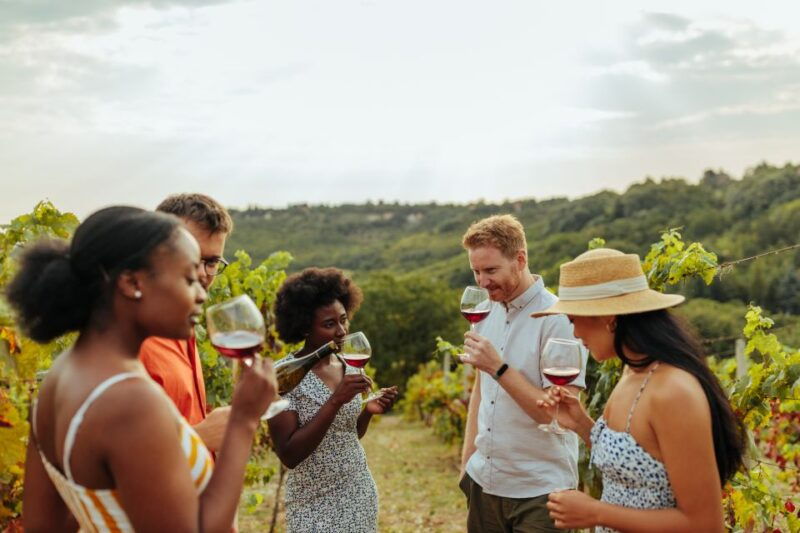 charleston-wadmalaw-island-wine-tasting-and-tea-garden-trip