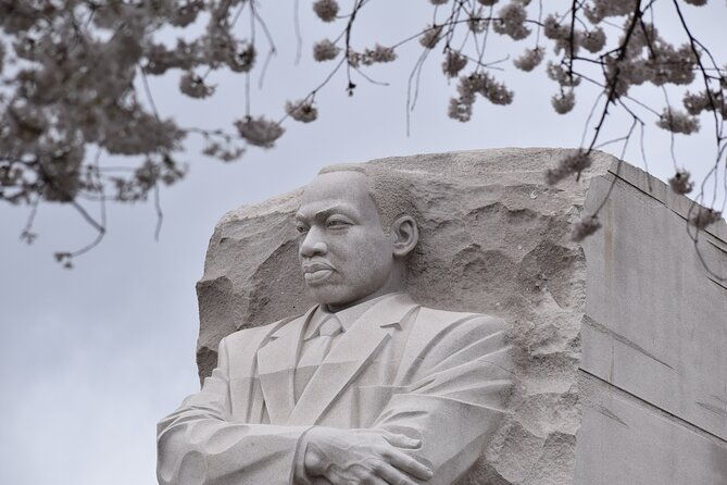 cherry-blossom-private-bus-tour-of-washington-dc