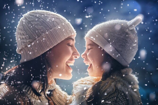 chicagos-festive-lights-a-magical-christmas-journey