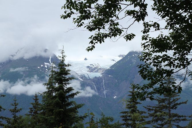 chilkat-inlet-coastal-hike-in-haines
