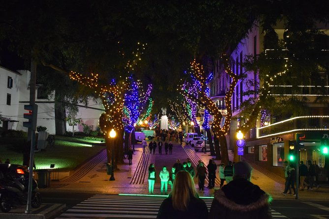 christmas-lights-tukxi-tour-price-per-tukxi-up-to-5-people
