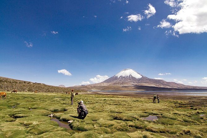 chungara-lake