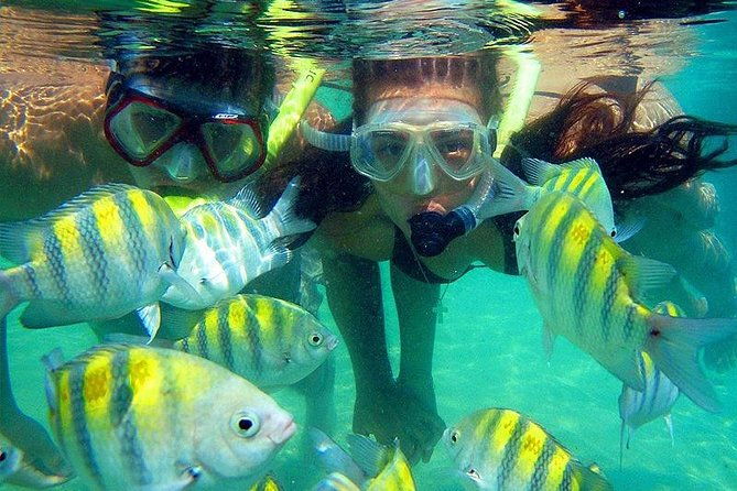 cinto-tayrona-park-tour