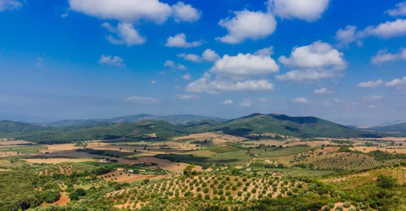civitavecchia-tuscany-full-day-guided-trip-w-wine-tasting