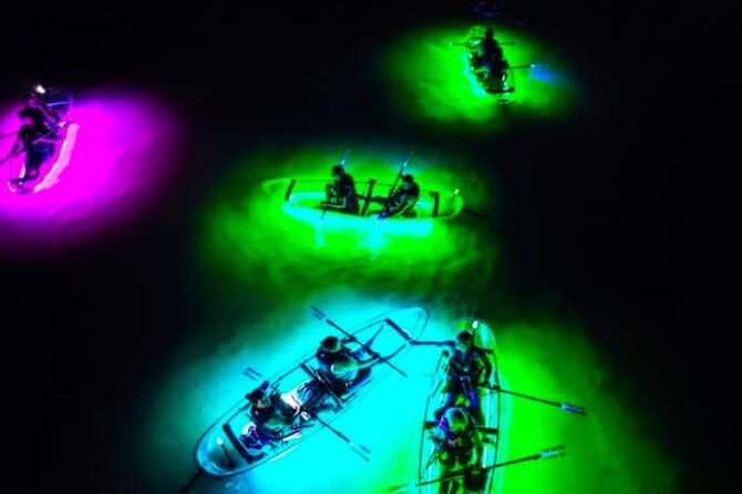 clear-kayak-jupiter-glow-night-tour-with-guide