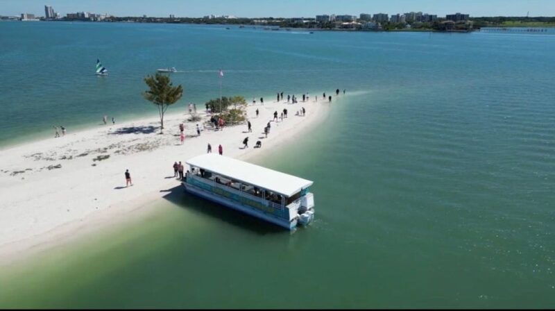 clearwater-beach-dolphin-island-sandbar-cruise