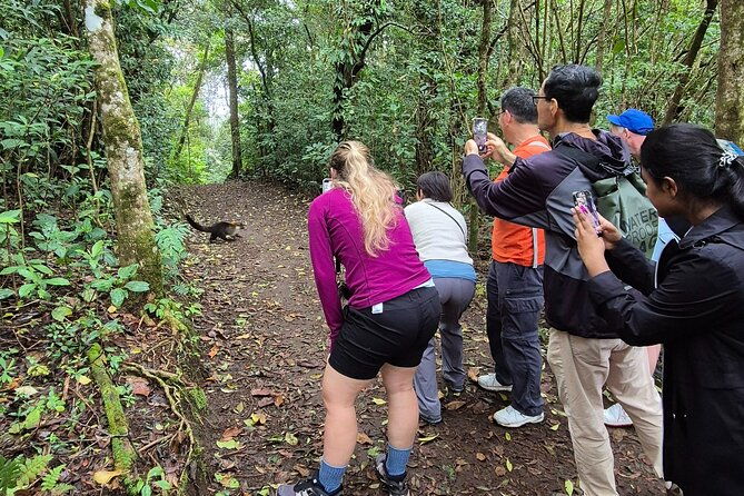 cloud-forest-wonders-guided-tour