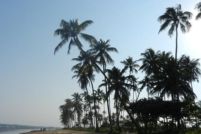 coconut-coast-and-praia-do-forte-the-famous-beaches