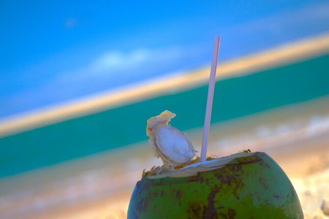 coconut-coast-surf-adventure-vacation-seven-days-with-a-pro