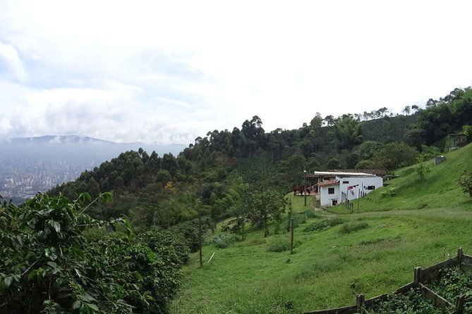 coffee-experience-coffee-tour-in-medellin