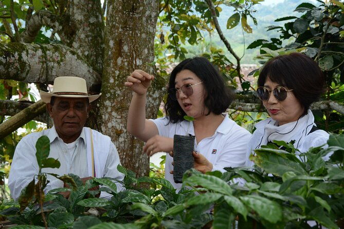 coffee-farm-group-tour-and-daily-departure-2