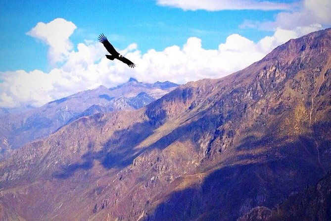 colca-canyon-tour-2d-1n-shared-service