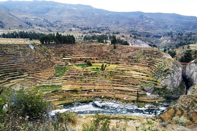 colca-canyon-tour-2d-short-hiking-overnight-in-small-village-ending-in-puno