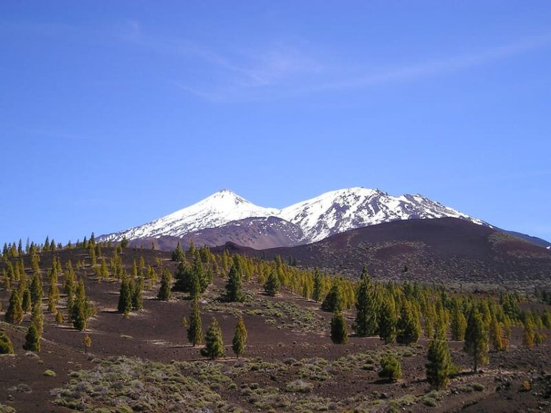 collective-adventure-travel-volunteer-in-tenerife