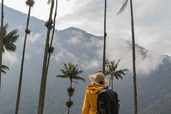 colombias-3-axis-of-diversity-bogota-coffee-region-and-cartagena-8-day-tour