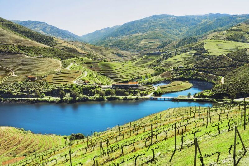 complete-douro-valley-tour-visit-to-3-wineries-lunch