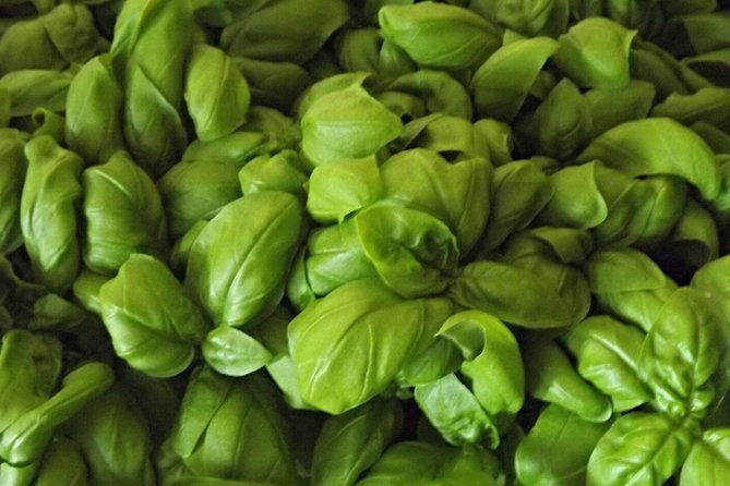cooking-class-pesto-sauce