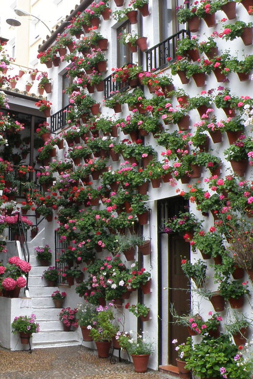 cordoba-courtyards-by-bike-electric-bike