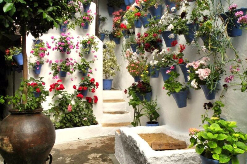 cordoba-guided-tour-of-the-patios