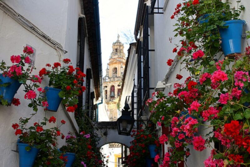cordoba-mosque-cathedral-of-cordoba-private-walking-tour