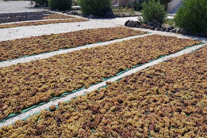 cork-fork-tour-in-santorini-with-2-wineries-and-lunch