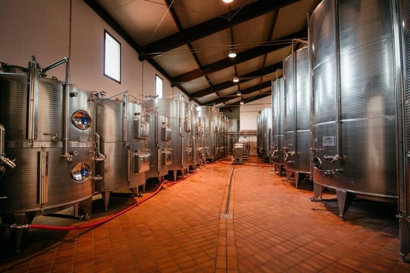 cotarella-family-near-orvieto-wine-taste-and-visit