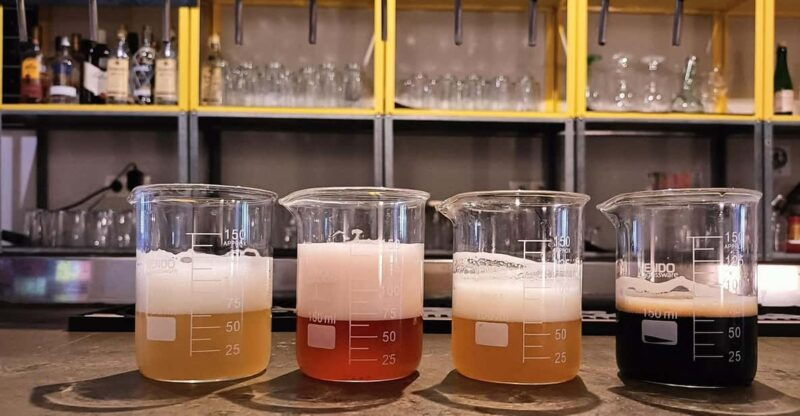 craft-beer-tasting-and-tapas-in-valencia