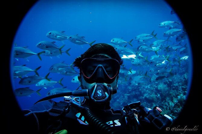 cruise-guest-try-scuba-diving-for-uncertified-divers-w-transport