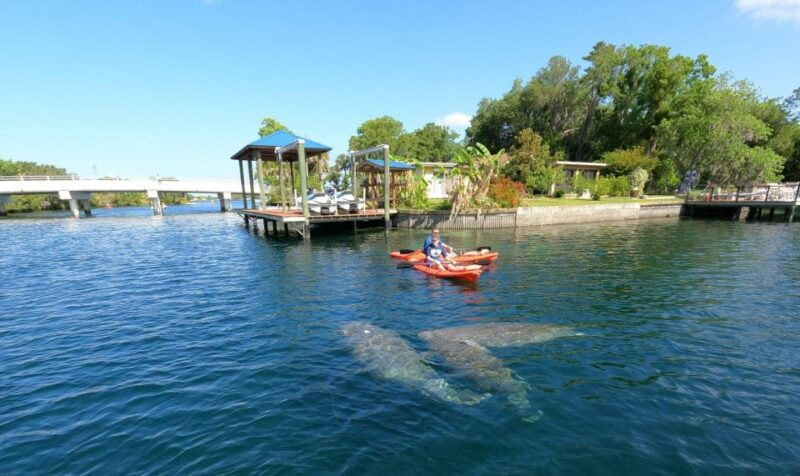crystal-river-kayak-rental