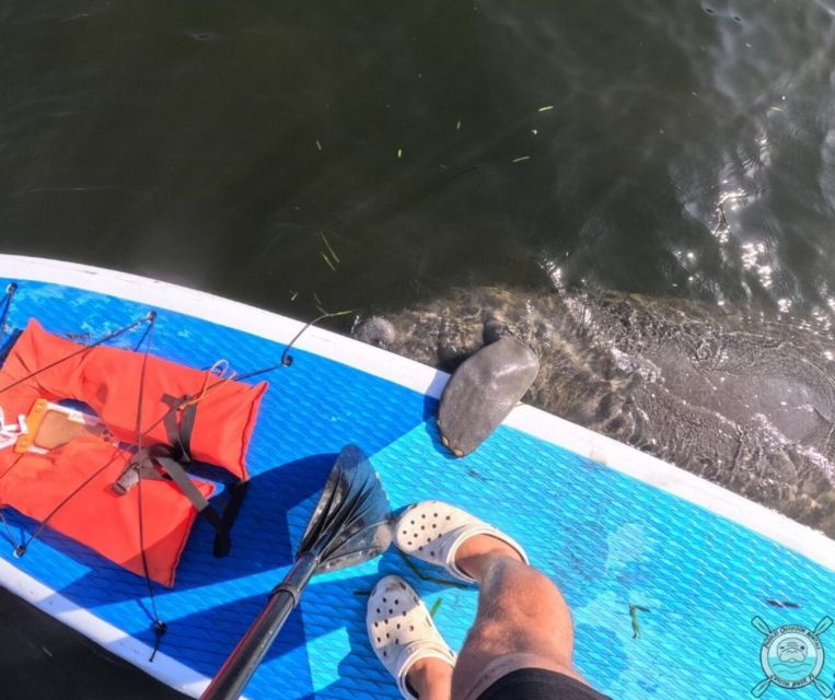 crystal-river-paddle-board-rental