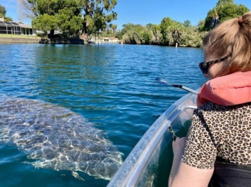 crystal-river-vip-clear-kayak-springs-and-manatee-ecotour