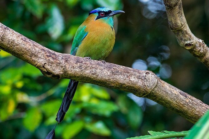 curi-cancha-nature-experience