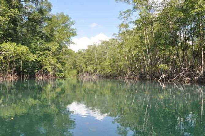 damas-island-kayaking-tour-from-manuel-antonio