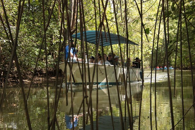 damas-mangroove-boat-tour-from-manuel-antonio