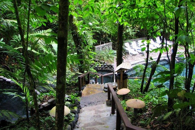 day-trip-from-san-jose-to-arenal-hanging-bridges-tabacon-hot-springs