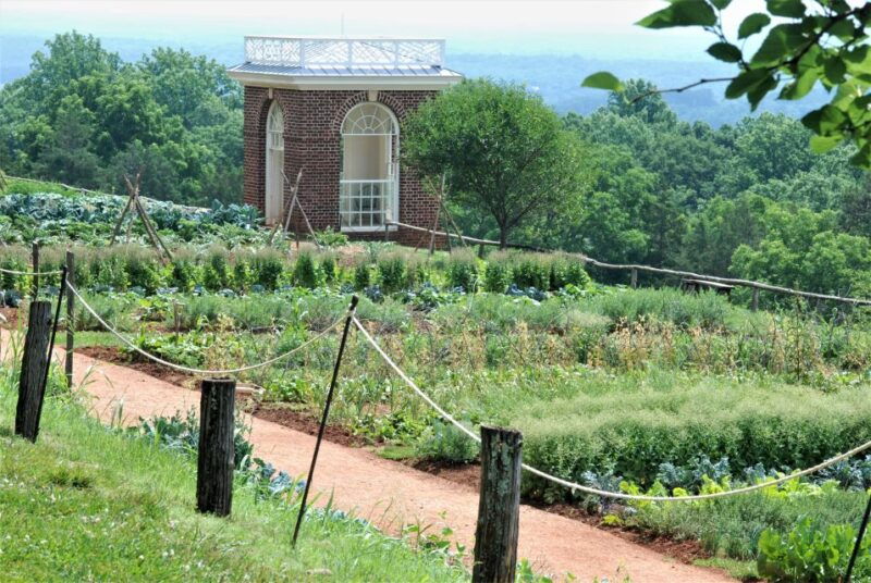 dc-private-day-trip-to-thomas-jeffersons-monticello-estate