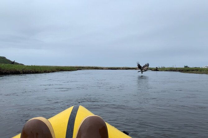 deep-creek-1-2-day-packraft-tour