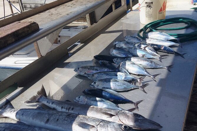 deep-sea-private-fishing