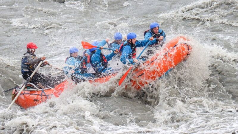 denali-alaska-canyon-wave-raft-class-iii-iv-paddle-oar