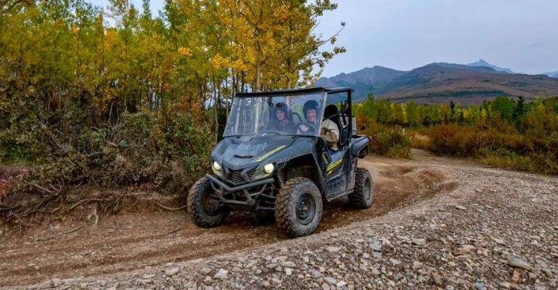 denali-national-park-wilderness-atv-adventure
