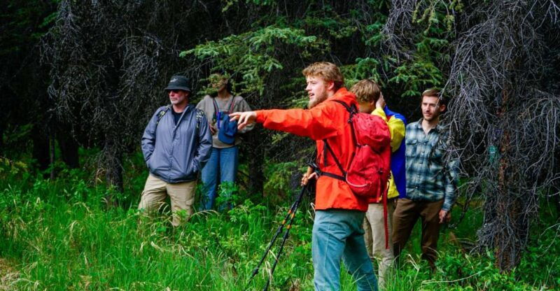 denali-naturalist-walking-tour-in-denali-national-park