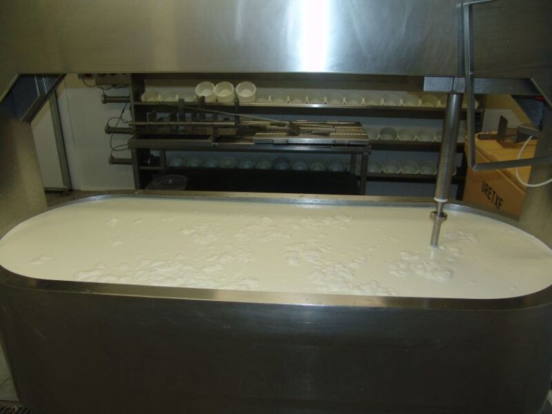 discover-the-art-of-idiazabal-cheese-in-the-basque-country