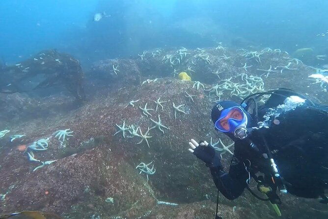 diving-excursion-in-quintay