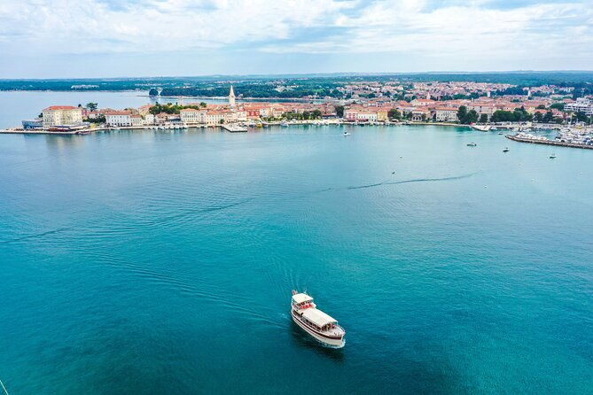 dolphin-watching-around-porec-riviera-with-boat-trip