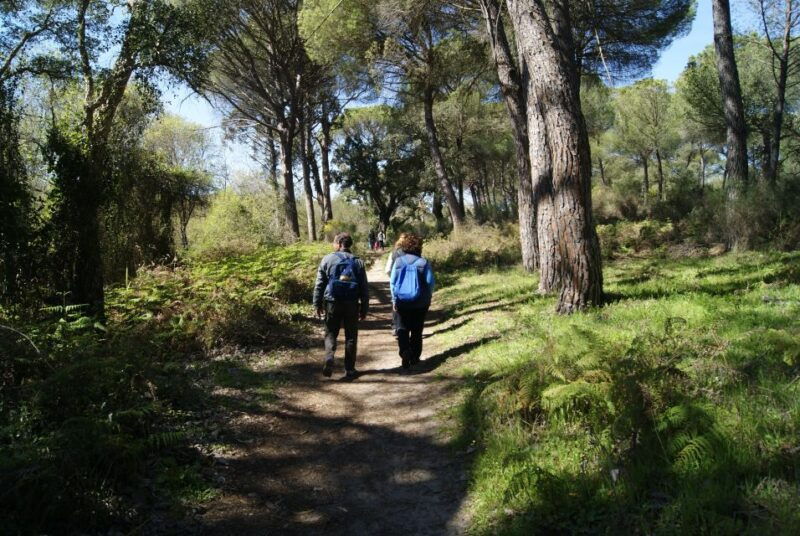 donana-national-park-off-road-tour-from-seville