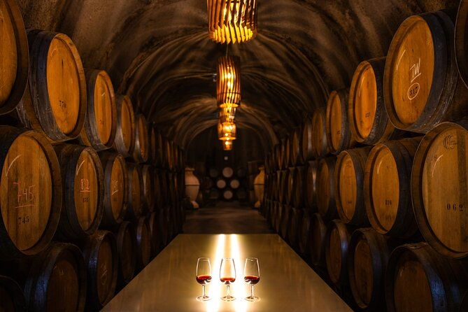 douro-luxury-douro-private-cruise-with-premium-winery-and-restaurant