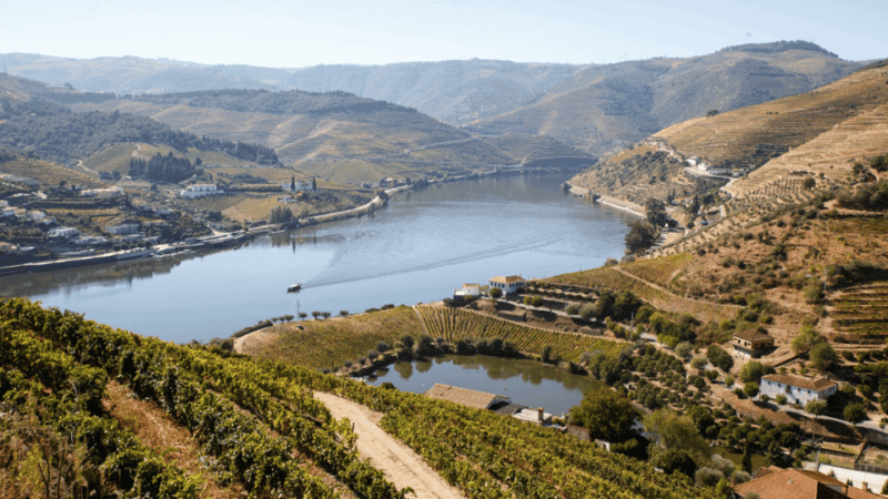 douro-valley-exclusive-and-sustainable-experience